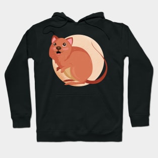 Quokka Hoodie